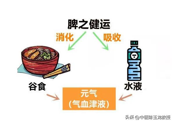 参苓白术散吃多长时间能有效,参苓白术散可以长期吃一年吗
