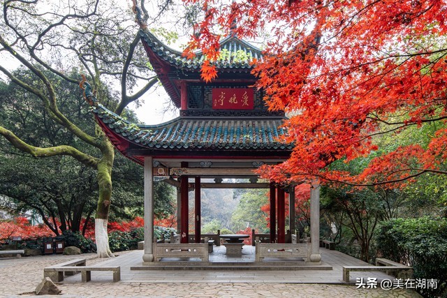 湘潭2022中考排名一览表,2023年株洲中考各个学校情况