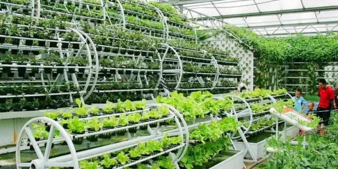 数字农业和智慧农业的区别,互联网背景下的智慧农业