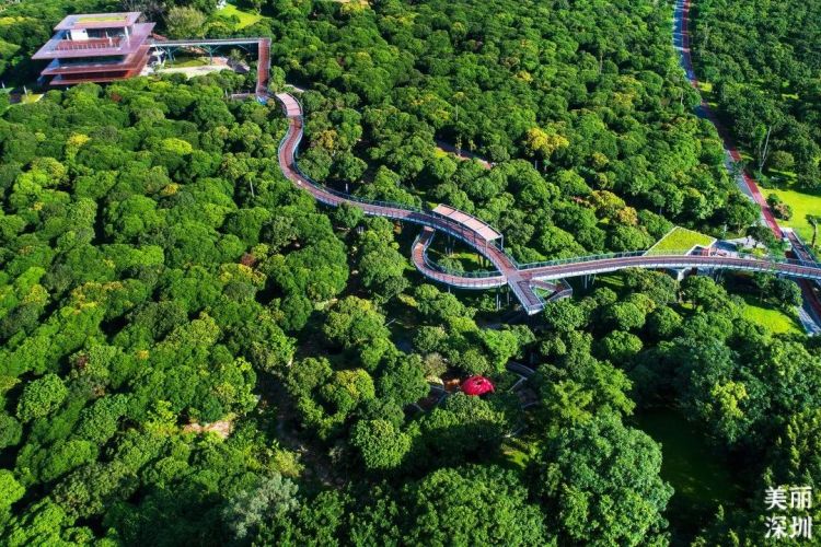 深圳公园的故事｜先锋实践，甜蜜家园——香蜜公园