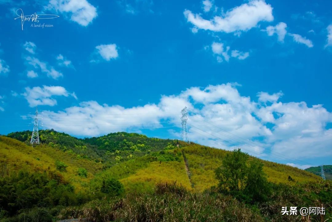 生活不仅有远方和苟且，还有“三蹦子”和矿坑，坐标杭州