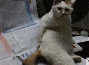 约会时尴尬的瞬间怎么办,约会尴尬害羞怎么办