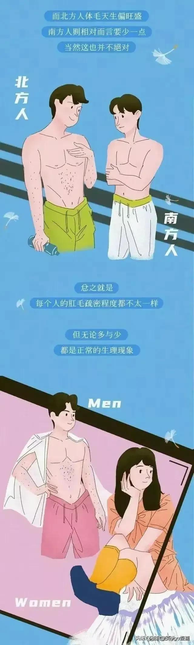 为什么肛门周围也会长“毛”？如果刮掉会怎样？（漫画）