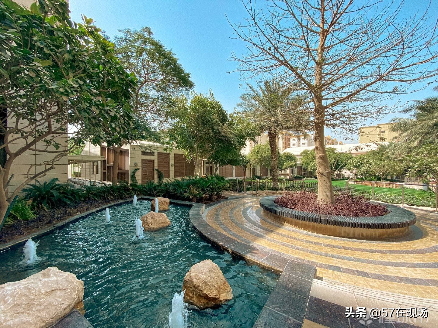 巴西队在卡塔尔住的酒店,巴西备战世界杯训练