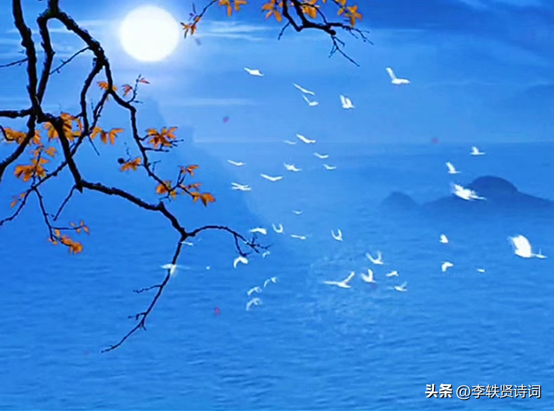 《百味诗词》第13期作品点评。嘉宾：王力、王十二（总第29期）