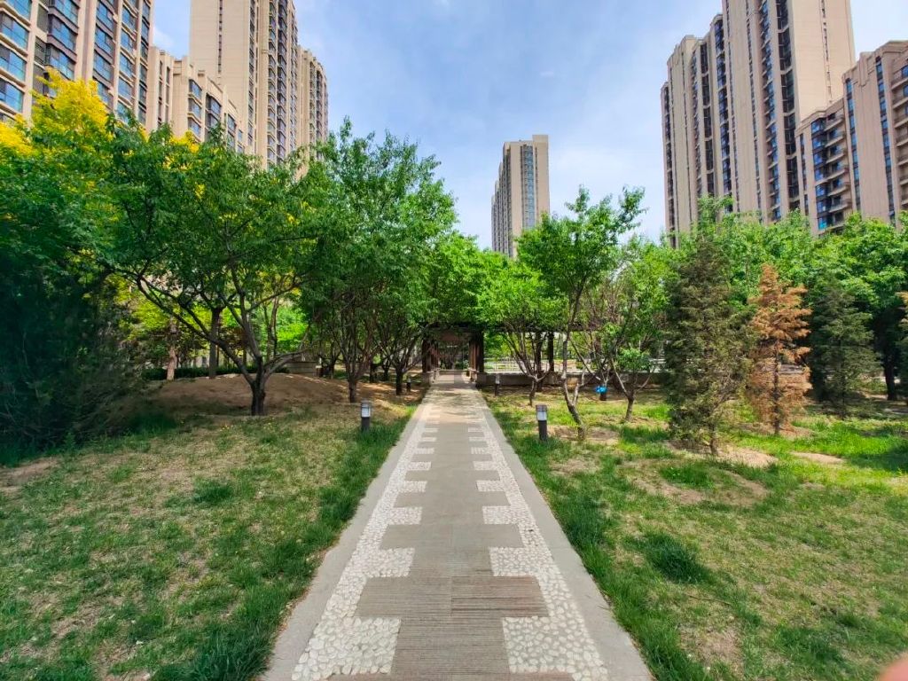 谁是影像机皇,谁才是手机机皇