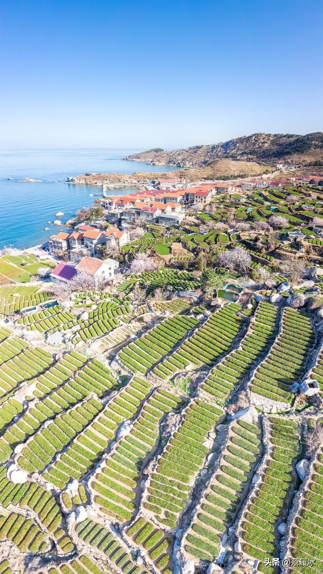 泰山虽云高不如东海崂图片,泰山虽云高不如东海崂全诗鉴赏