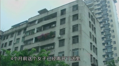 海南海上失踪女老板,海南女老总失踪事件