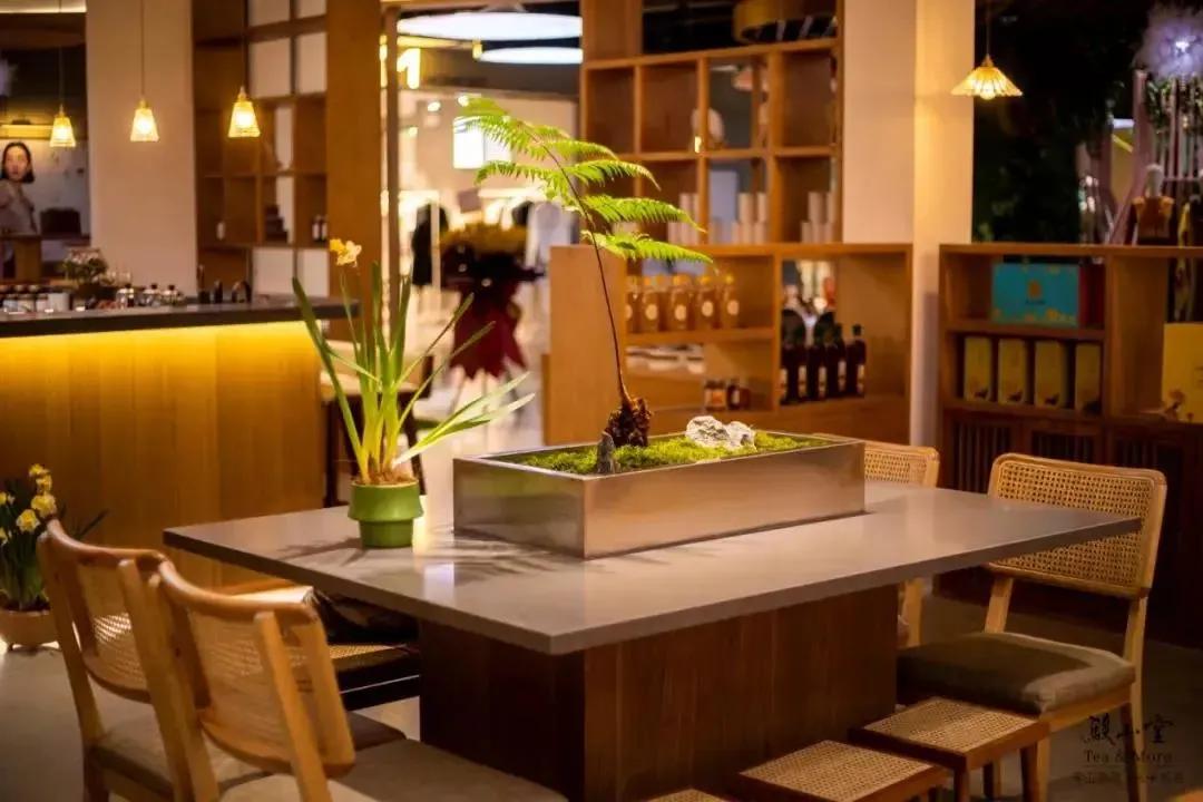 岁月芳华如诗如茶——常州骏山堂茶文化有限公司创始人李理雷