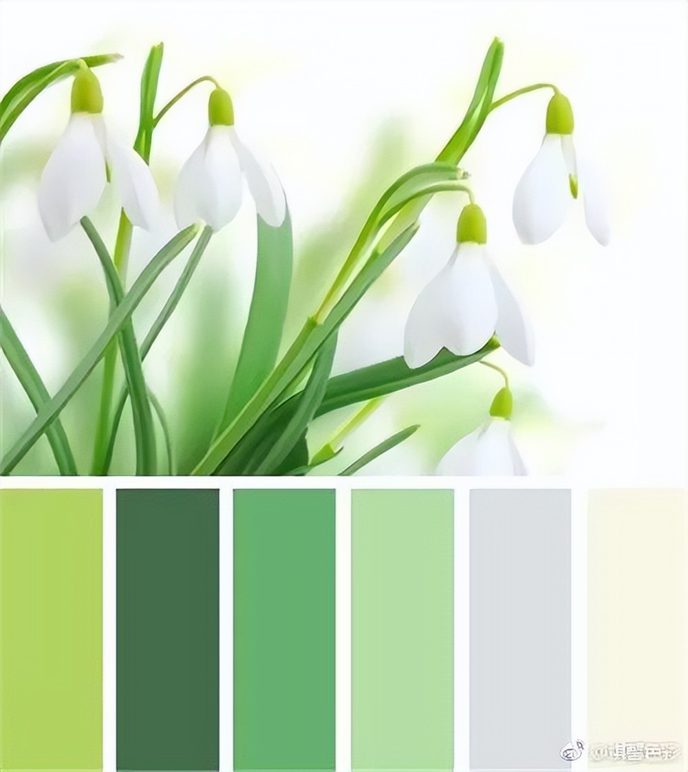 活色生香适合什么印花,活色生香适合什么皮肤