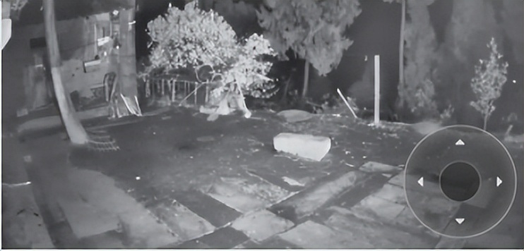 tplink和萤石哪个摄像头好,家用监控tplink和萤石哪个更好