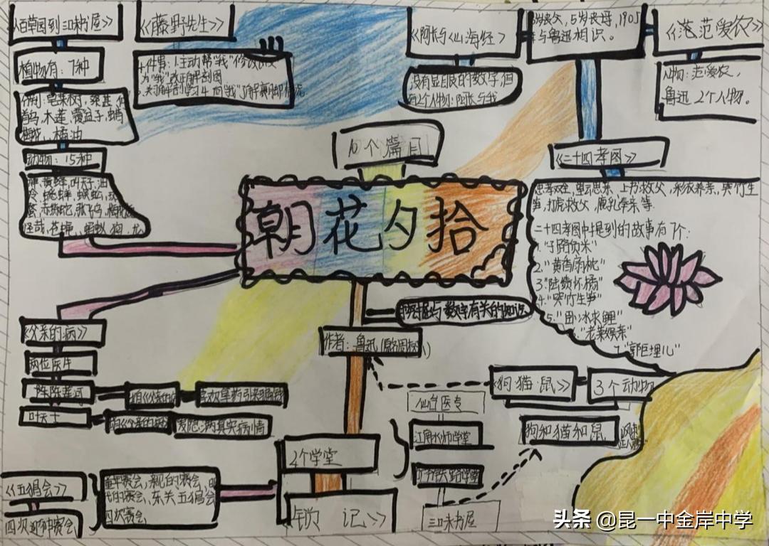 融合创新采撷精彩——《朝花夕拾》之重回百花园，绽放生命的美