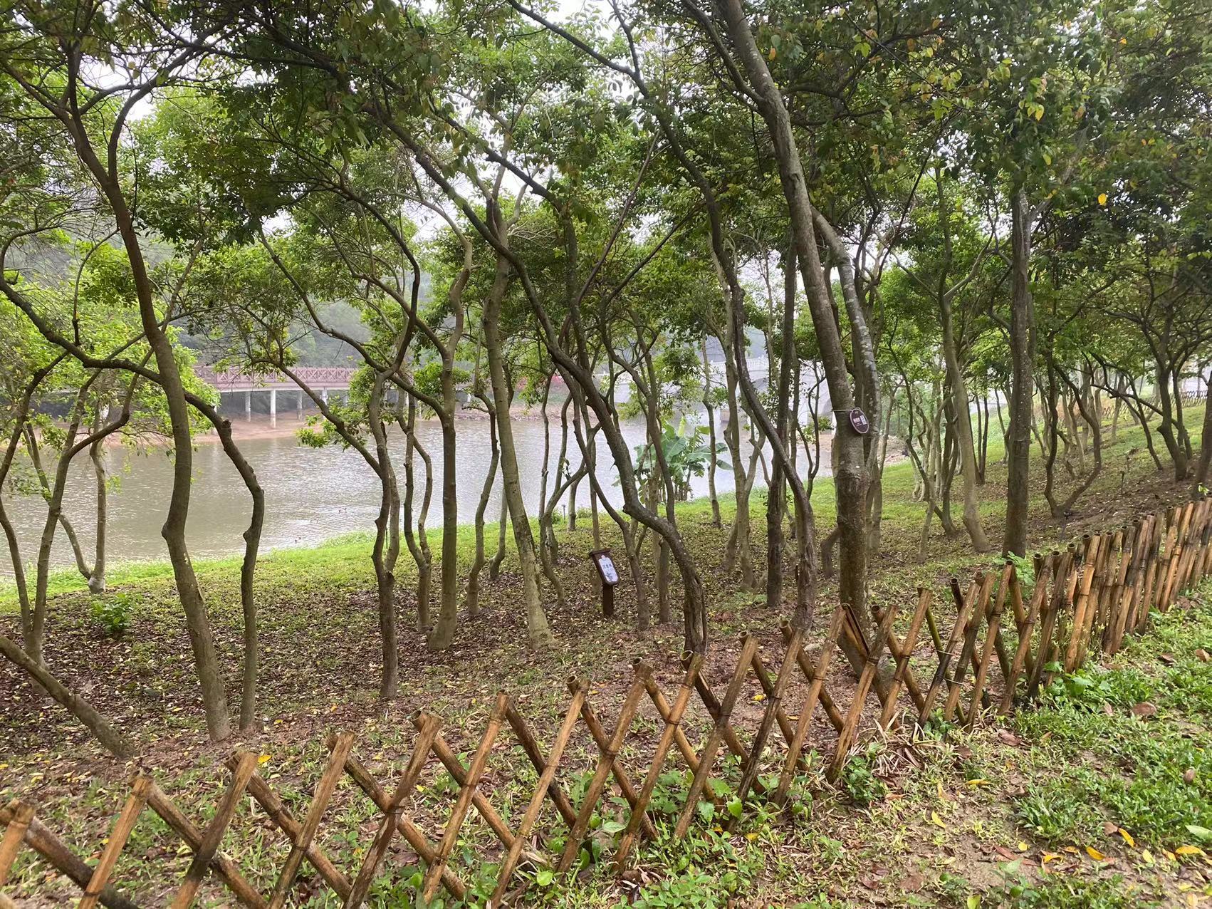 珠海人气最旺的公园,珠海市人爱去的公园推荐