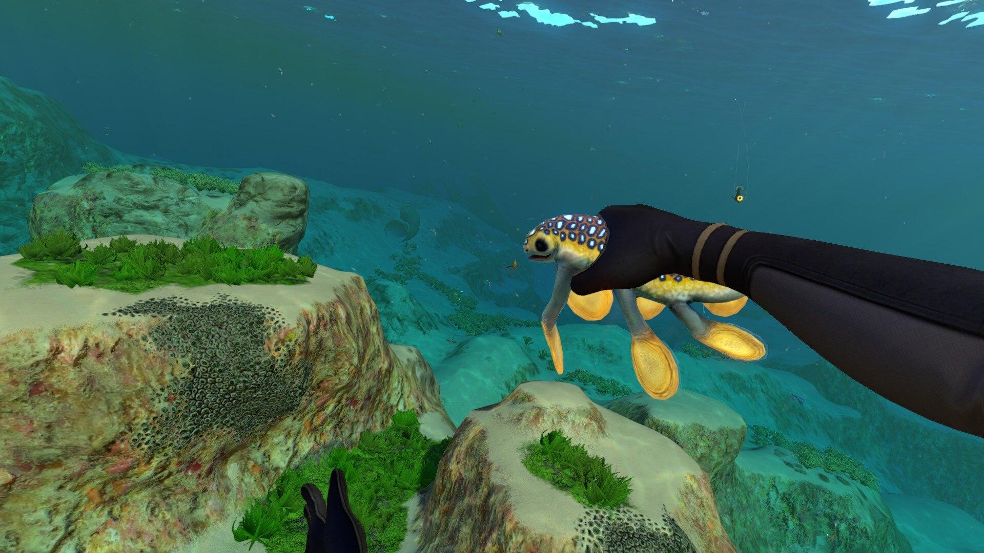 娣辨捣杩疯埅濮滄捣,娣辨捣杩疯埅鎷晳宸ㄥ瀷娴风殗