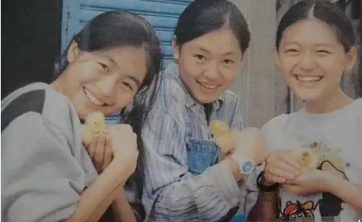 三女婿打丈母娘完整版,三女婿打架