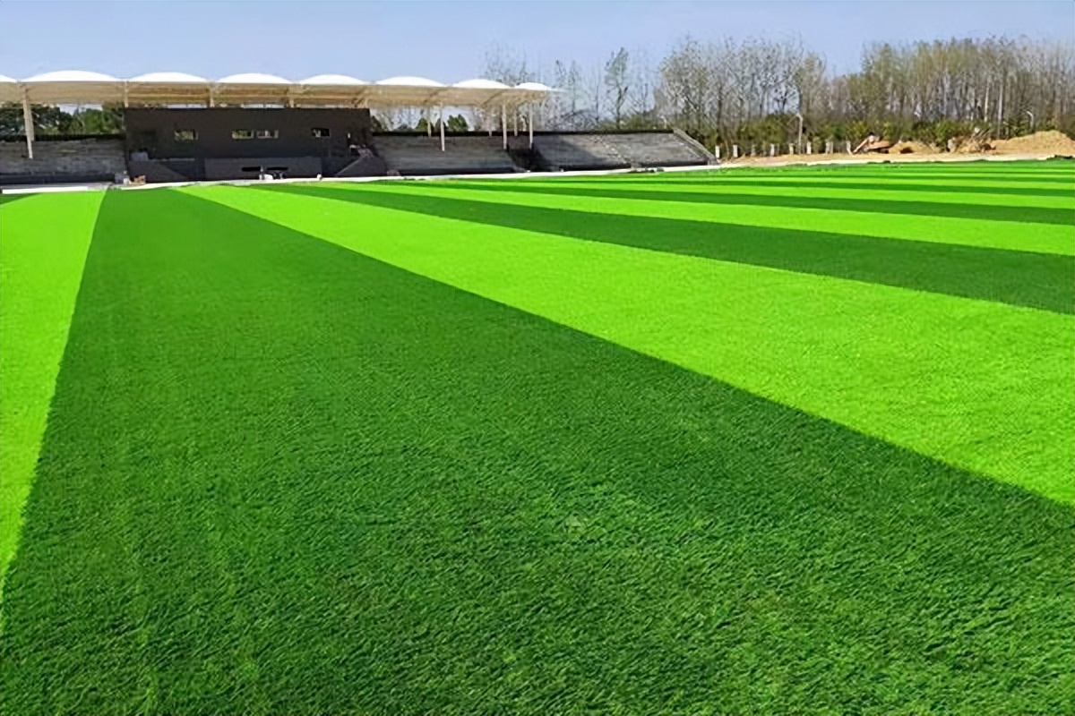 有口碑的人造草坪,人造草坪质量哪家好