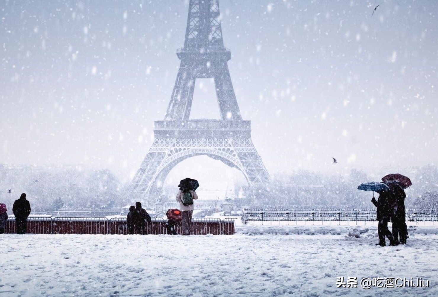 热红酒为什么火了 (欧洲热红酒)