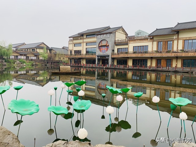 诗经秦风黄鸟写的是什么,诗经秦风黄鸟原文及翻译