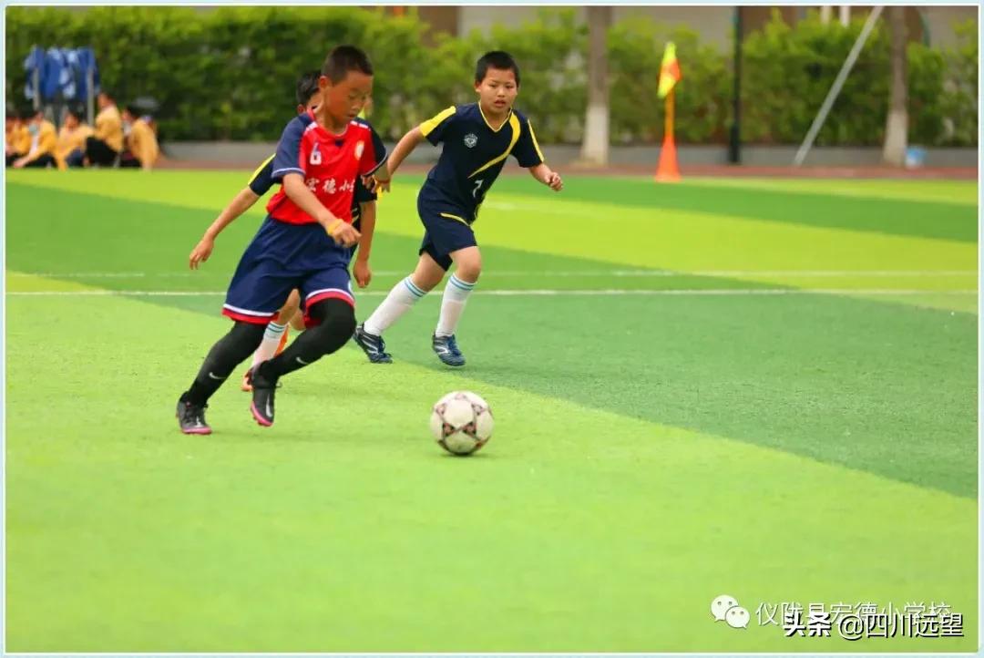 仪陇2019小学足球比赛,仪陇县宏德小学足球比赛