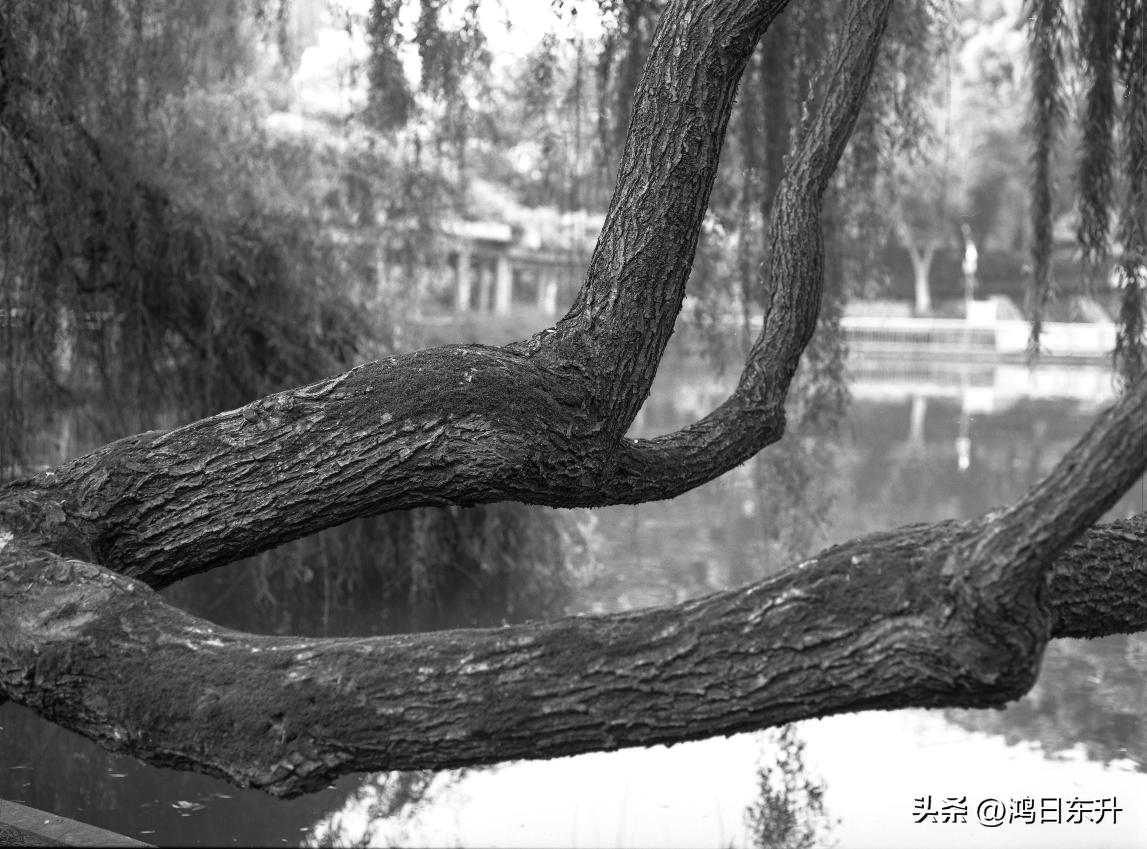 宾得645Nii老胶片相机值得拥有