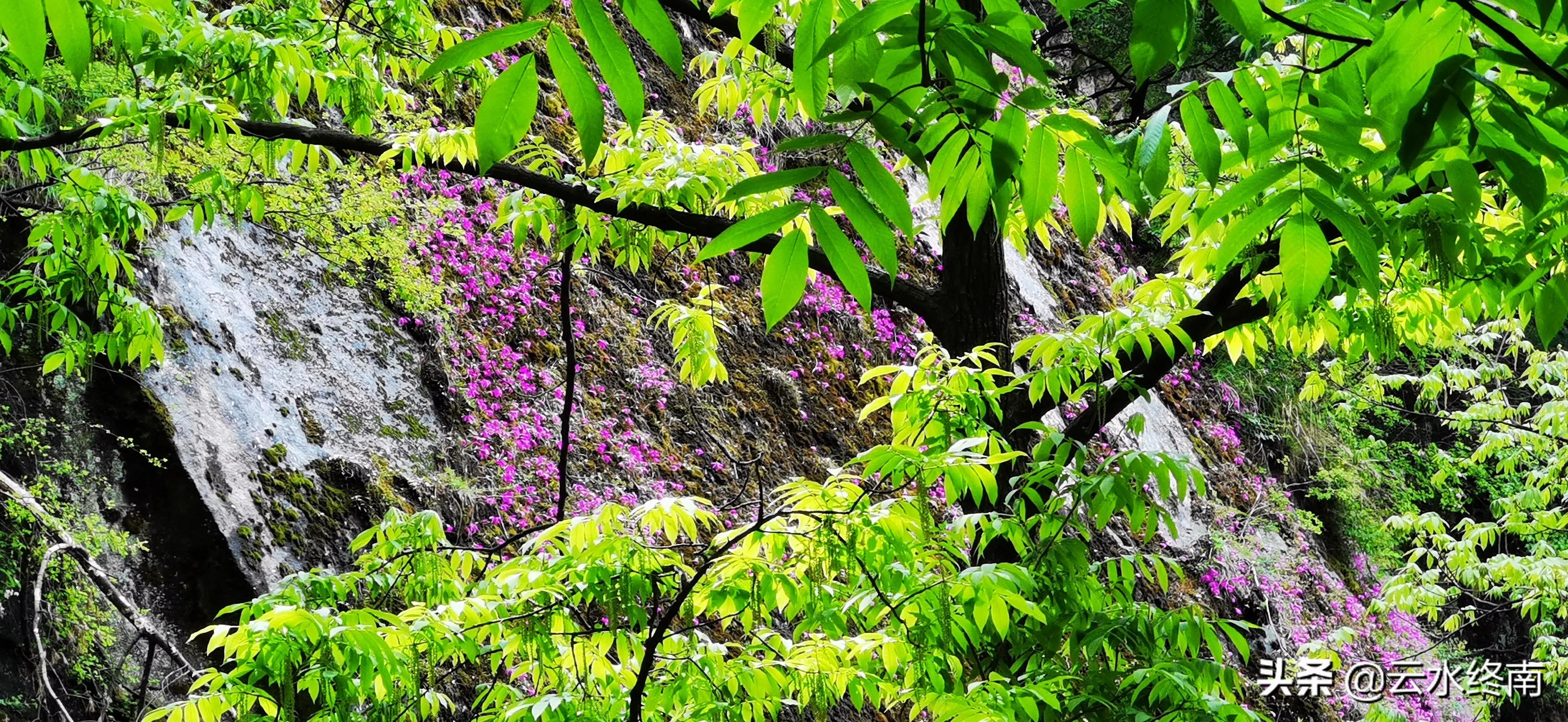 看值不值？登顶沣峪里这个曾经收费的景区，看九鼎万华详细攻略