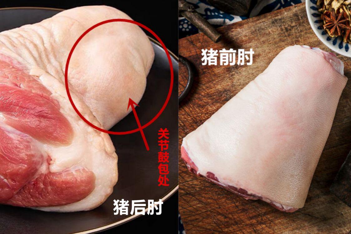 买猪肘前肘好还是后肘子好,猪肘子前肘后肘哪个便宜