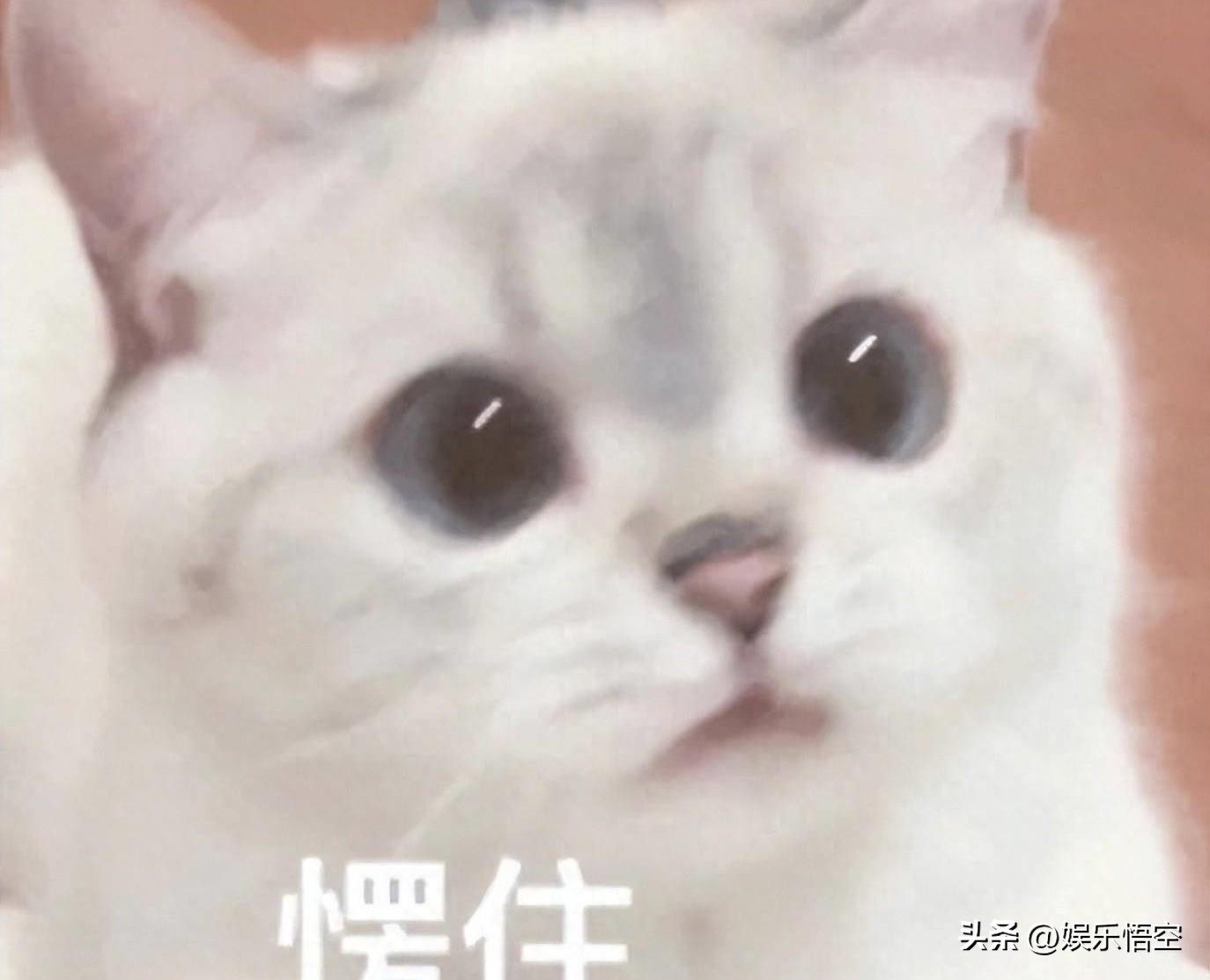 医美面膜值得拥有,便宜好用补水医美面膜