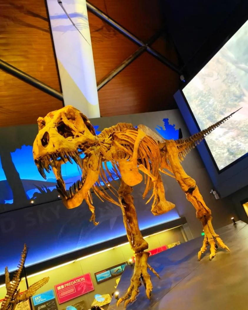 天津冬季遛娃,天津遛娃的免费公园