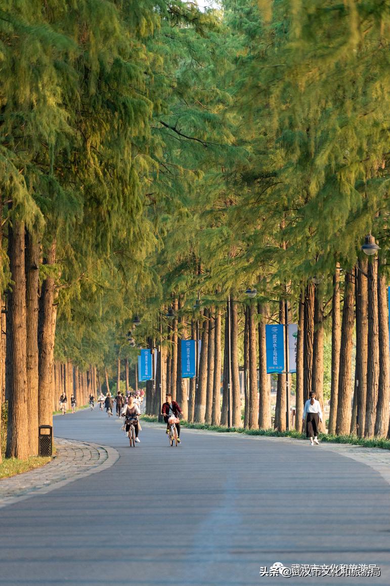 武汉值得玩的地方排名,武汉必吃榜top1