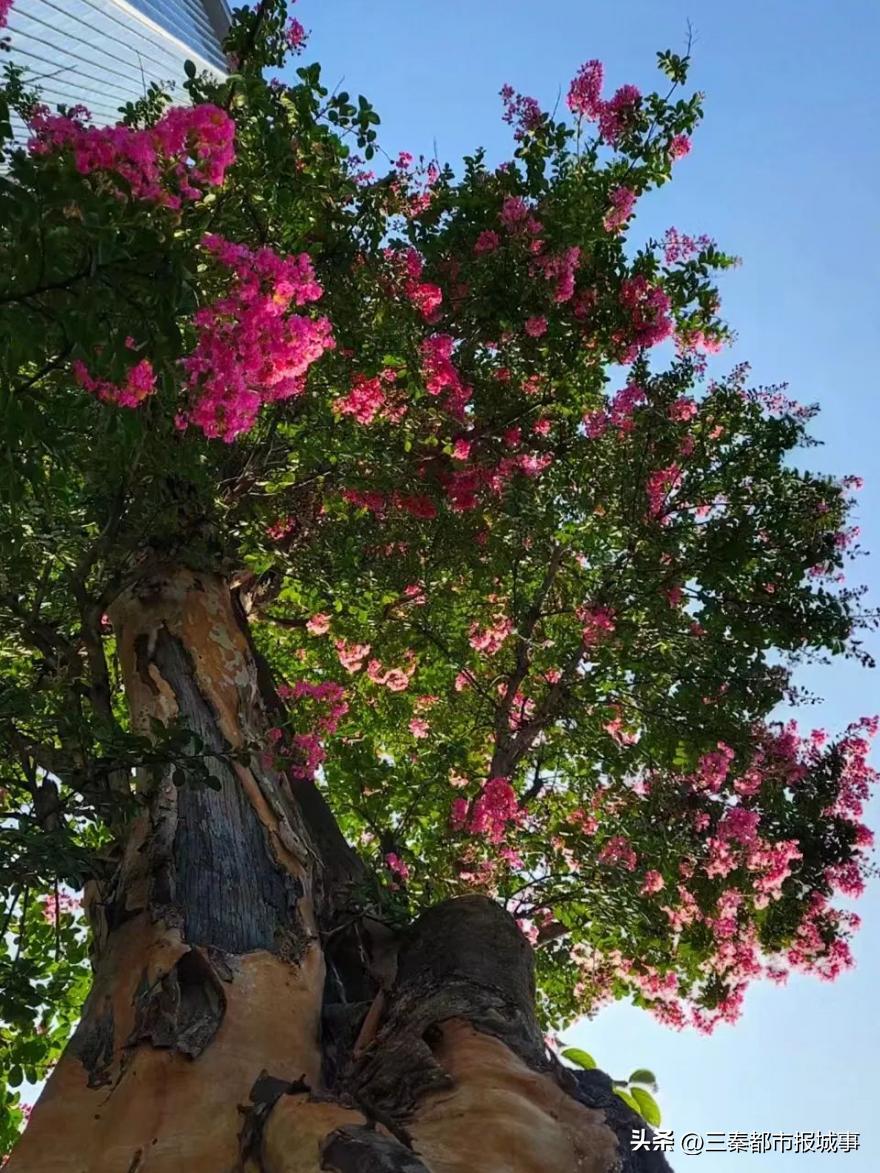 宝鸡性价比高的酒店推荐,宝鸡性价比好的酒店