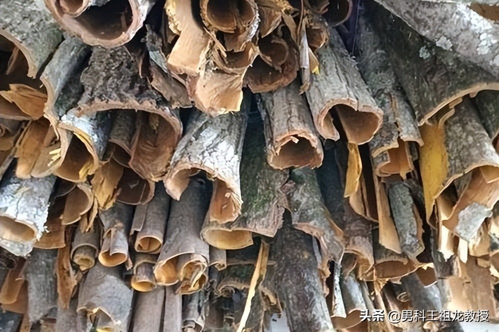 肾气不足的偏方,肾气不足小方子