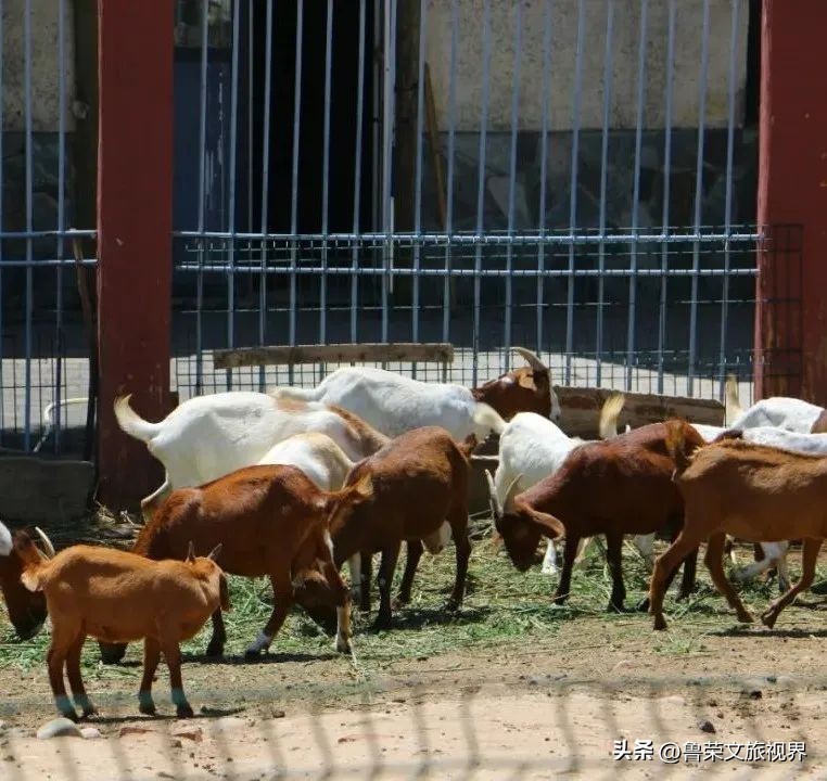 西安旅游攻略大全坐地铁,西安地铁旅游攻略三日游