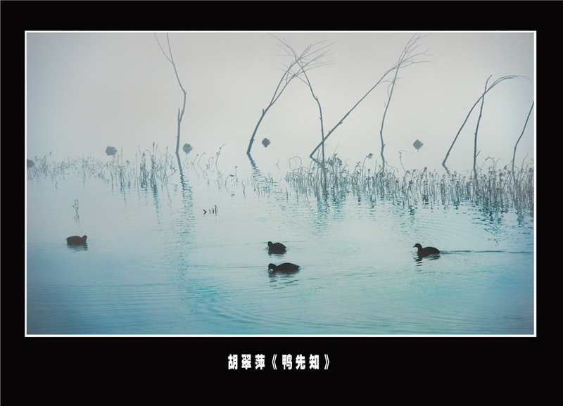 “喜迎*党**的二十大，巾帼老兵抒豪情”诗书画摄影电脑作品展