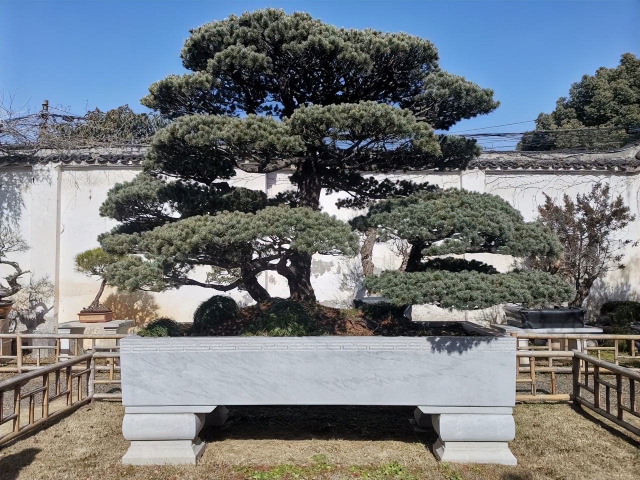 苏州旅游景点大全一日游最佳路线,苏州旅游景点攻略一日游推荐路线