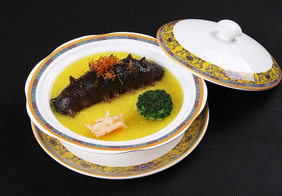 海参知识100问,海参知识图片大全