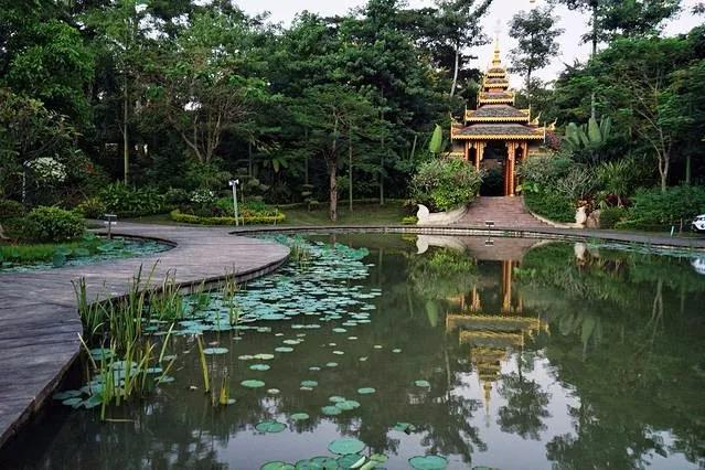 云南西双版纳旅游攻略app,云南西双版纳旅游攻略自由行12月