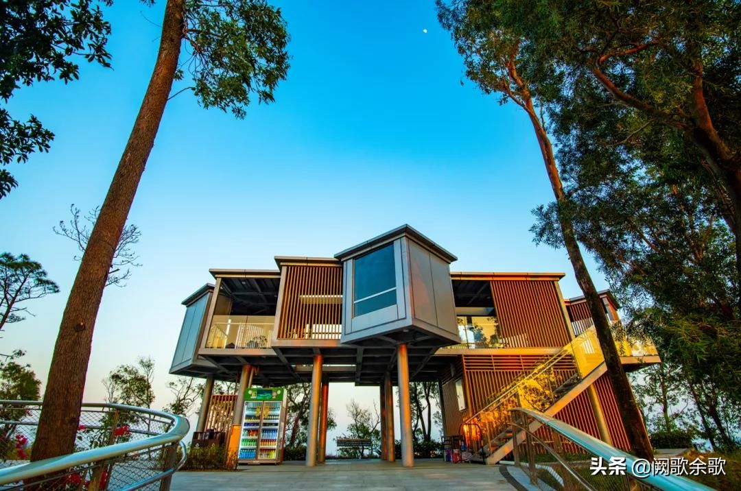 珠海情侣路打卡景点在哪里,珠海必打卡景点