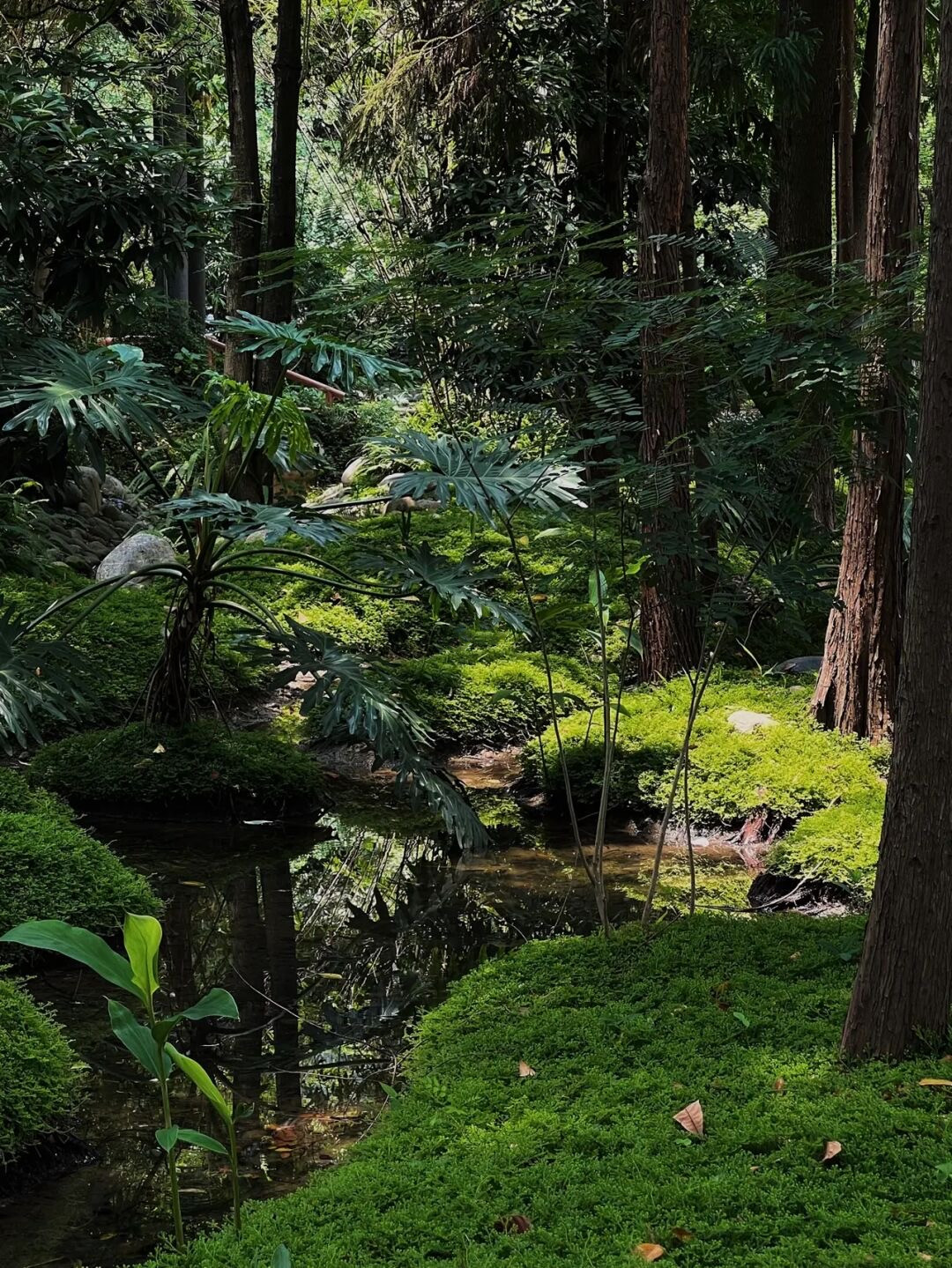 成都上新被施了魔法的“无蚊公园”!逛朋克风夜市、奇异洞穴书店