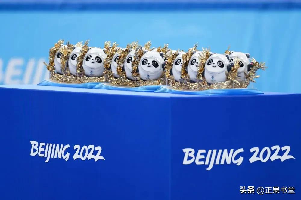 冰墩墩和他的出圈神曲,各种颜色的冰墩墩高清图片