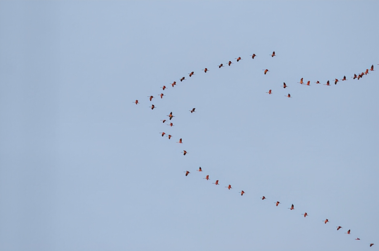 facetoface英文释义,facetoface意思