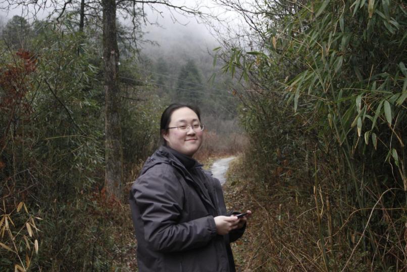 自然秘境大图鉴鸟类王国,奇妙大自然探秘鸟类世界