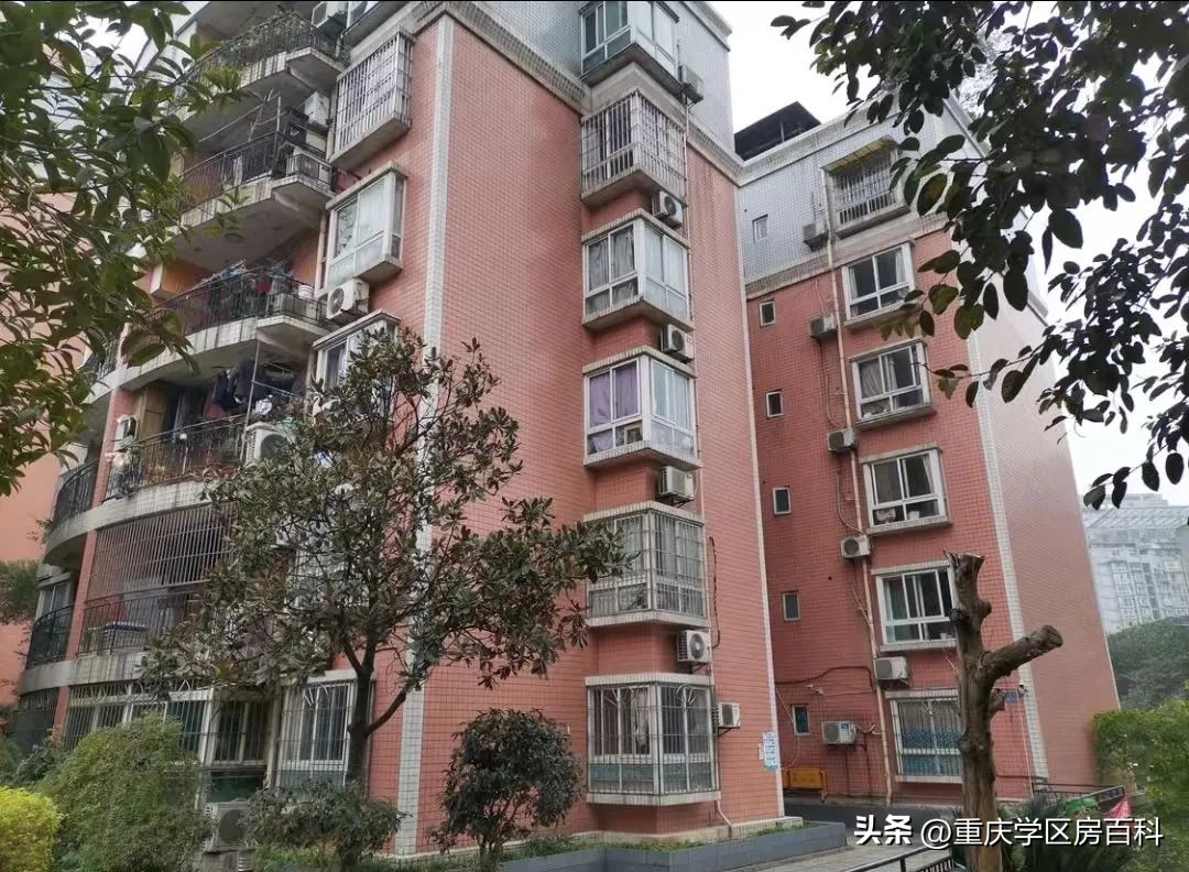 渝北和九龙坡哪个教育资源好,九龙坡教育资源怎么样