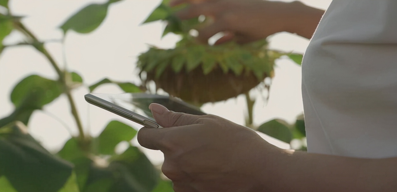 鱼泡网有哪些漏洞,怎么分辨鱼泡网的真假信息