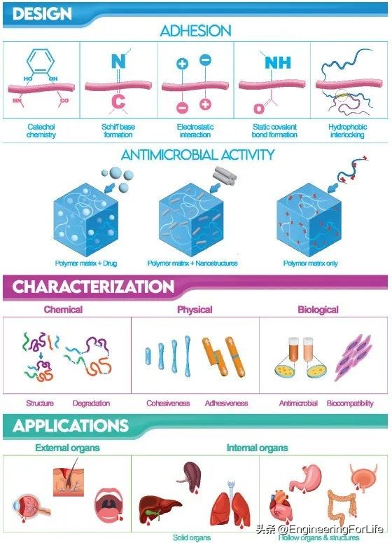 《AM》综述：对具有抗菌性能生物粘合剂的深度剖析