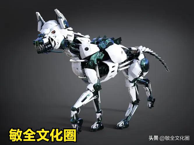 以后，我们一起去遛机器狗，相亲交友！