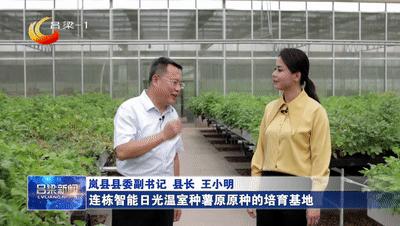 岚县适合发展什么特色农业,稳经济促增长保民生