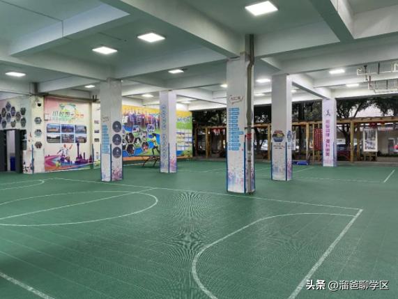 成都小学排名前十的小学,成都十大小学排名