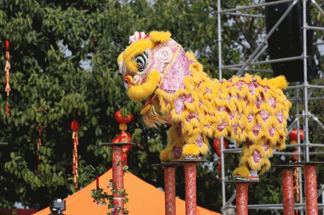 80000万盏霓虹彩灯！浪漫花海、童话世界、打铁花……一起来开启光与影的奇幻之旅吧！