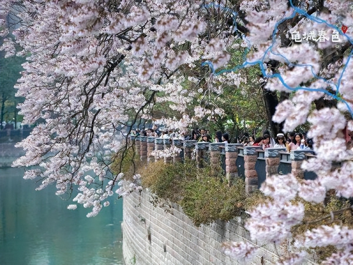 微生物菌群最新研究进展,一号菌群科研新成果