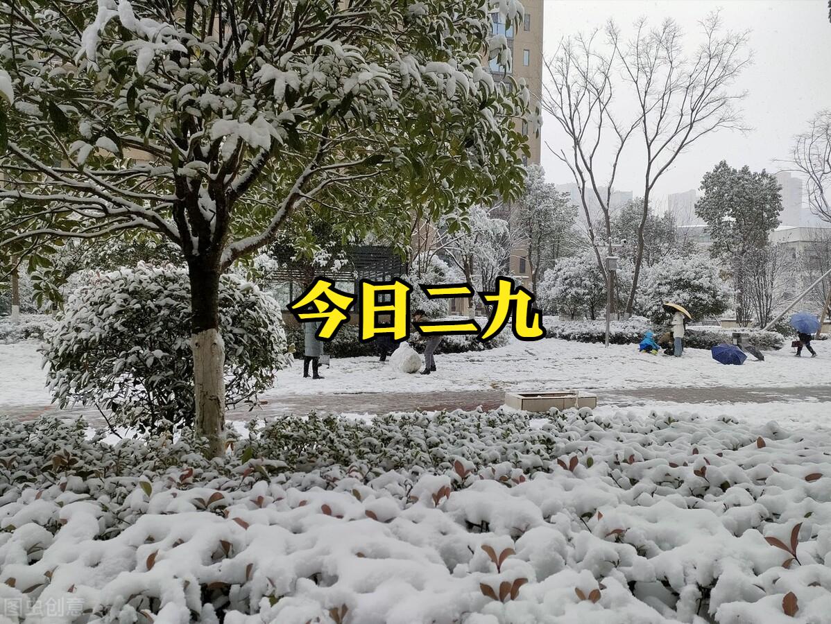 阴历二月十九天气预报,天气预报今天是二伏的第几天